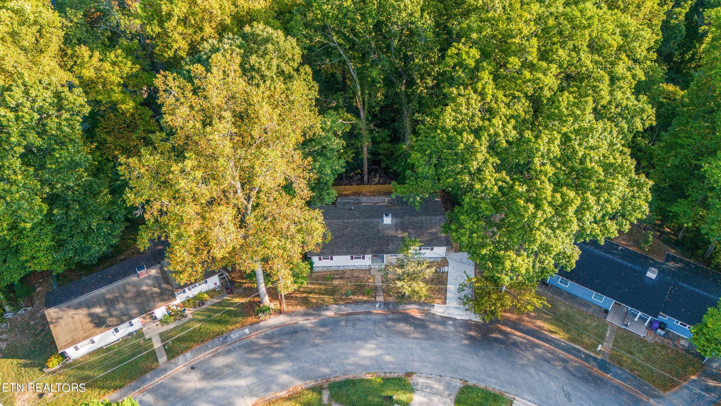 104 East Damascus Road Oak Ridge, TN 37830 - Photo 38 of 43 Street
