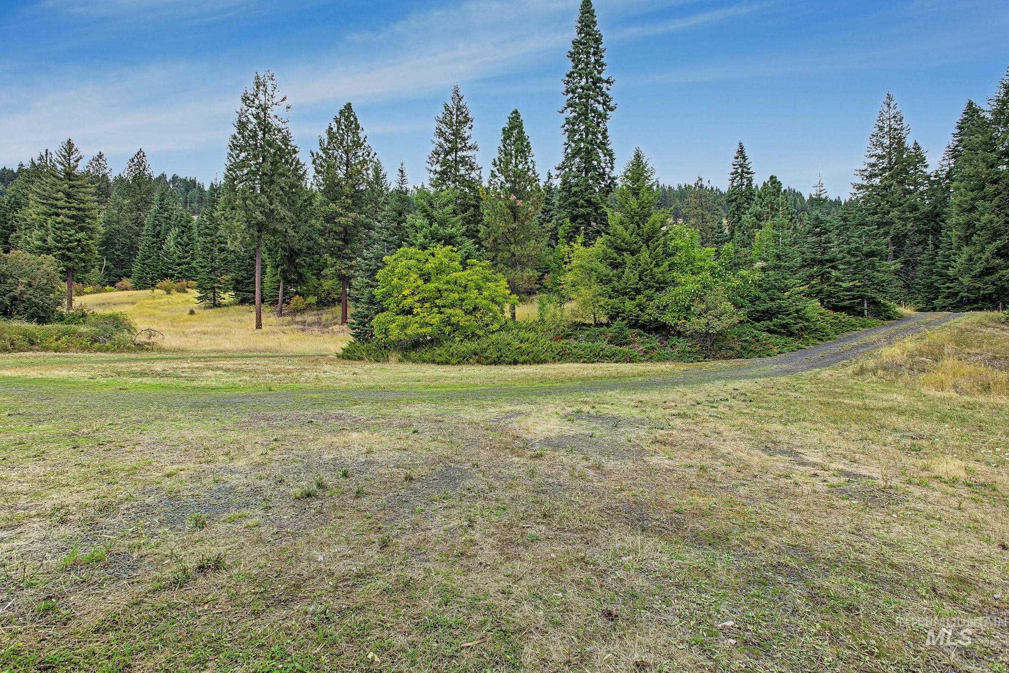 2926 Wells Bench Road Orofino, ID 83544 - Photo 48 of 48 Expansive lot featuring mature evergreen trees and natural landscaping