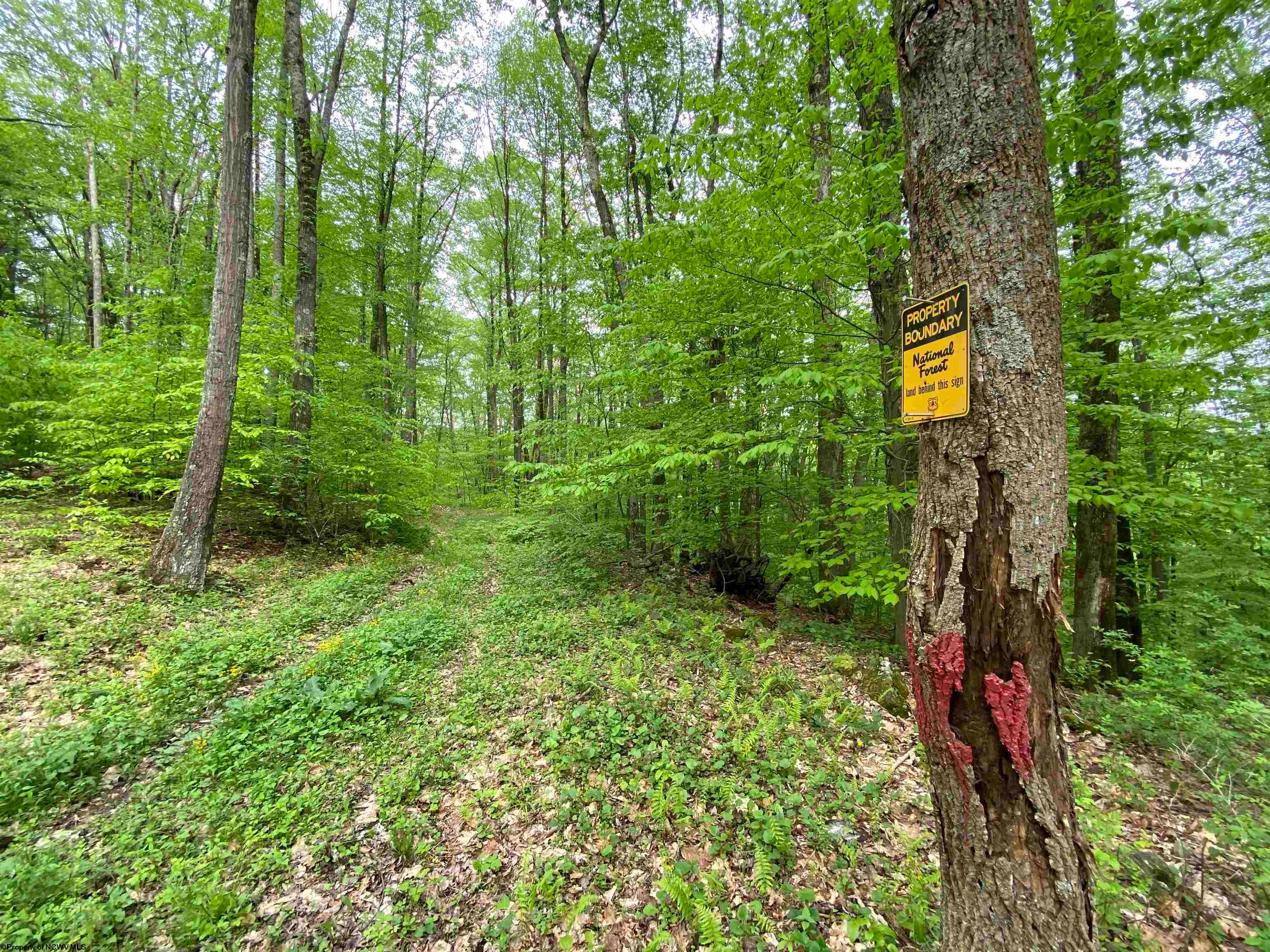 6686 Limestone Road Parsons, WV 26287 - Photo 28 of 28 Gallery Image 28