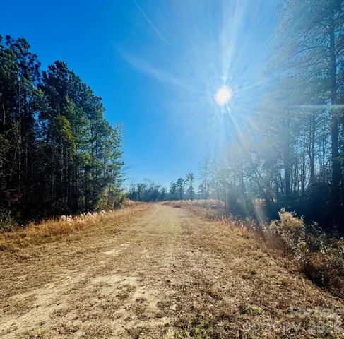 $54,500 | 0 Thistle Down Lane, Cheraw, SC 29520