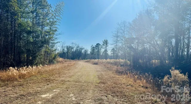 $54,500 | 0 Thistle Down Lane, Cheraw, SC 29520