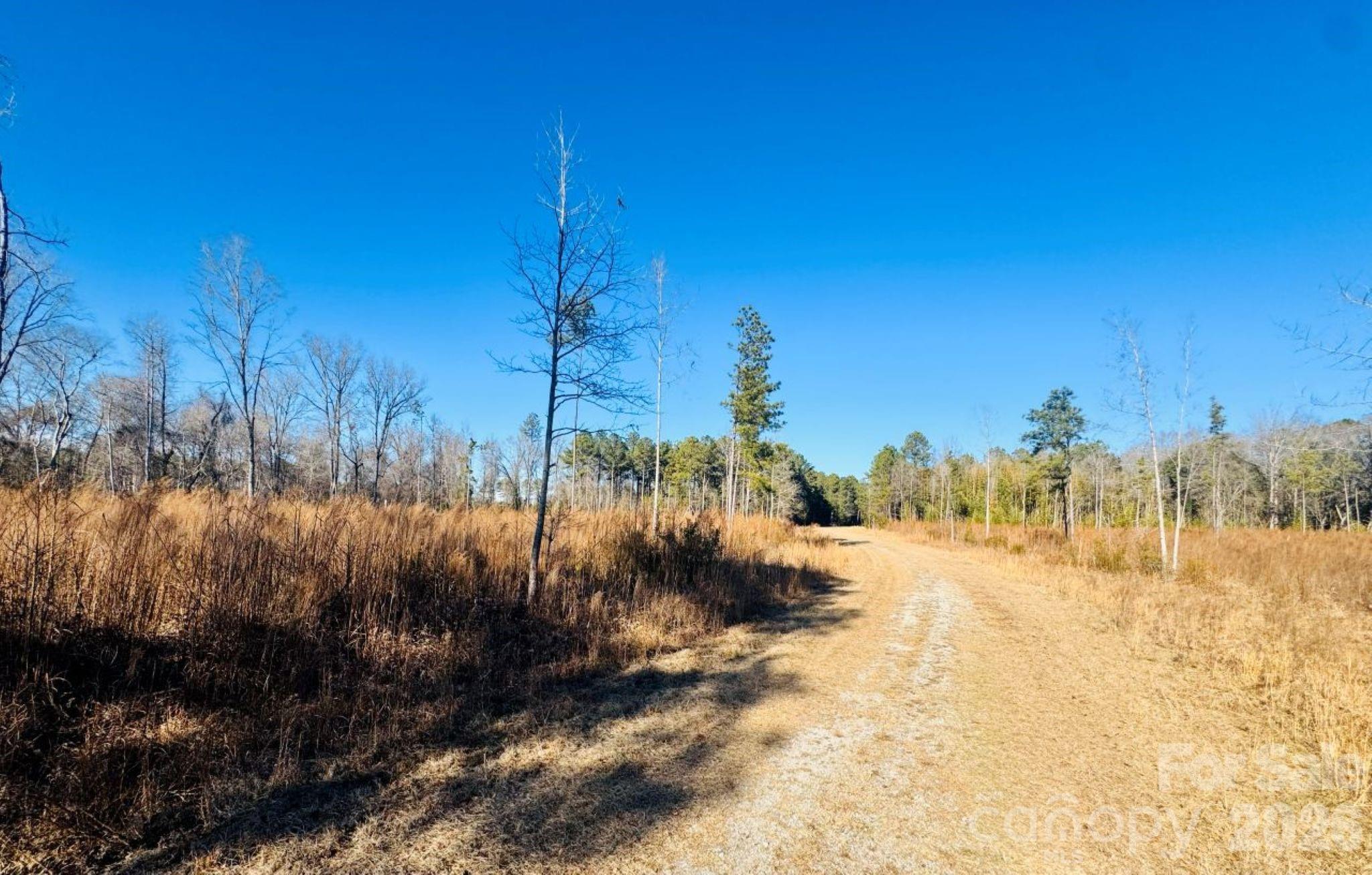 0 Thistle Down Lane Cheraw, SC 29520 - Photo 5 of 11 a view of a dry yard with trees and buildings in the background