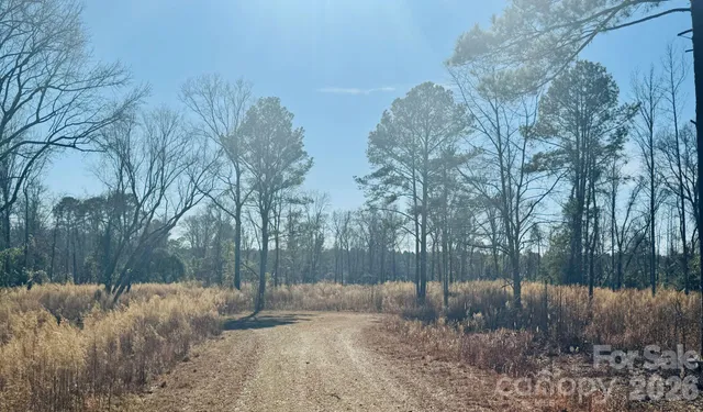 $54,500 | 0 Thistle Down Lane, Cheraw, SC 29520