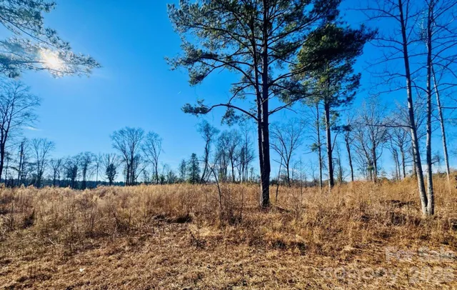 $54,500 | 0 Thistle Down Lane, Cheraw, SC 29520