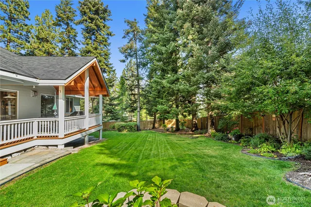 a view of backyard with tree