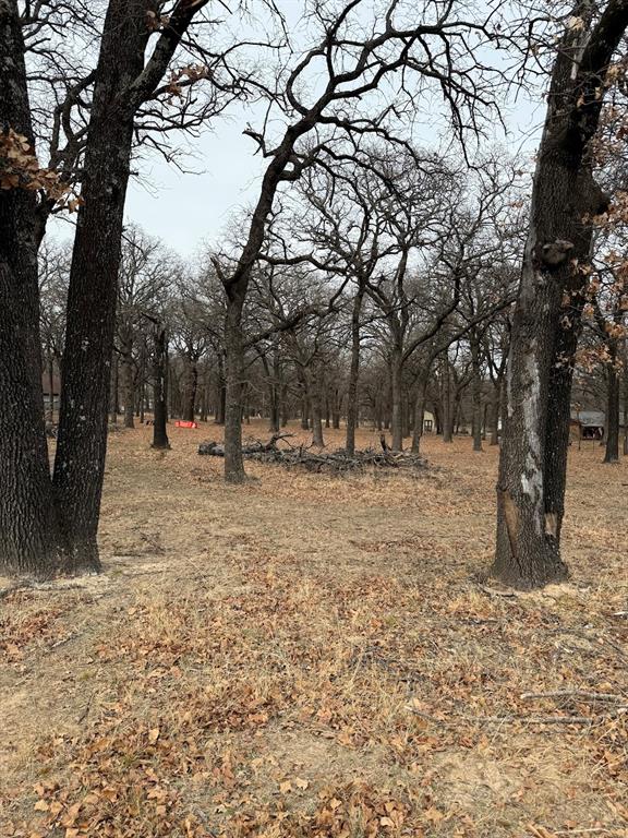 Tbd-3 Kimbrough Road Azle, TX 76020 - Photo 2 of 2 a view of snow with trees