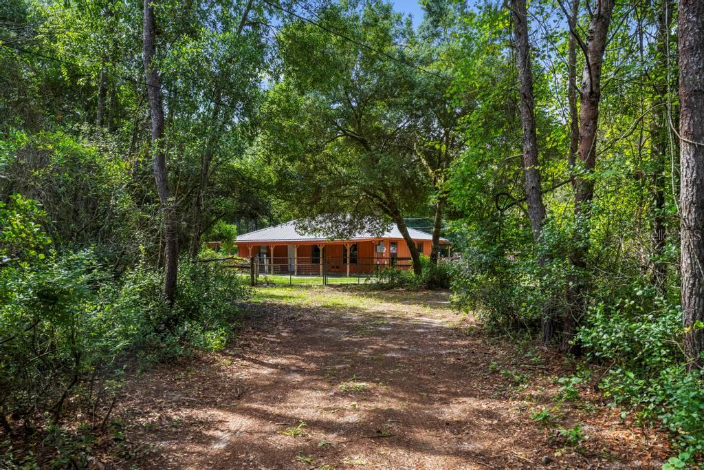 24607 Polar Bear Road Paisley, FL 32767 - Photo 8 of 47