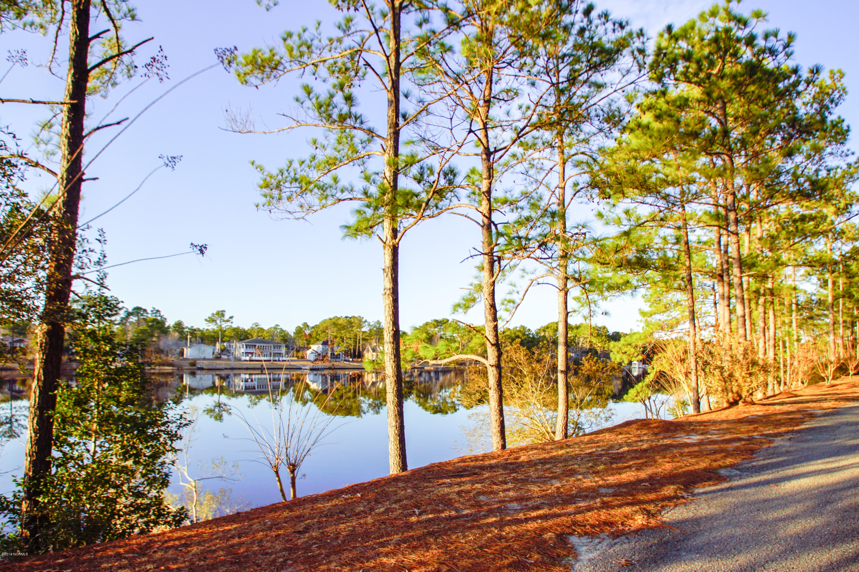 960 Holly Point Road Boiling Spring Lakes, NC 28461 - Photo 1 of 12 450-460 Holly Point Rd-9