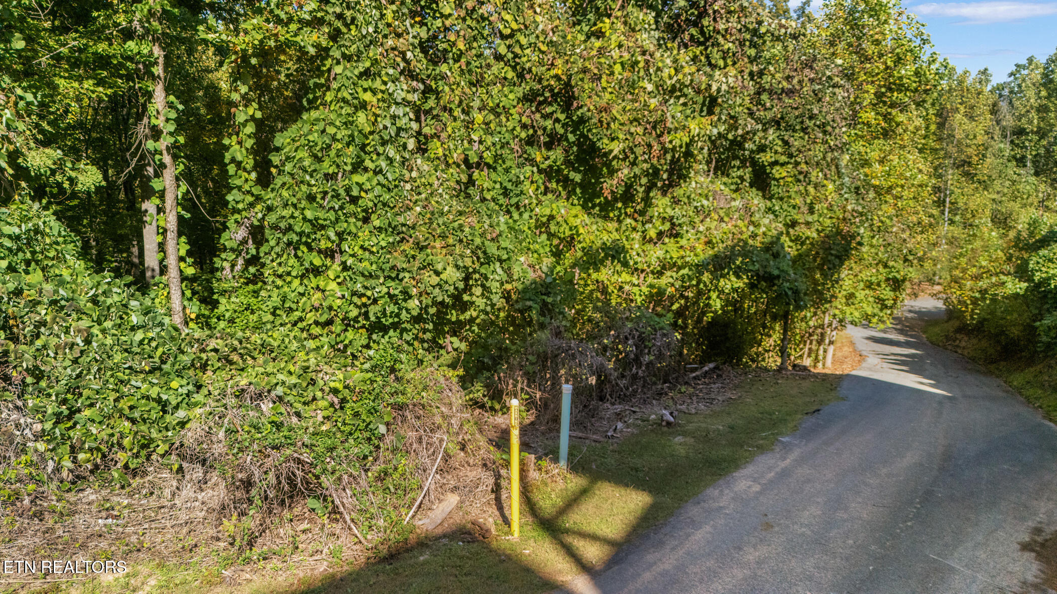 12 Pine Valley Way Pigeon Forge, TN 37862 - Photo 7 of 17 dji_20251010150711_0960_d