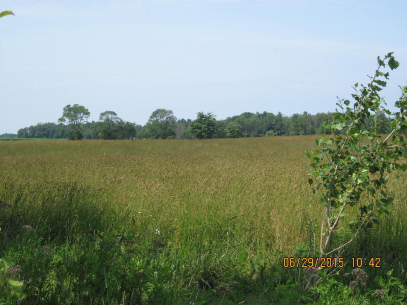 0 Chase Road, Unit PARCEL B Montague, MI 49437 - Photo 1 of 3 20150630175657659013000000-o-2