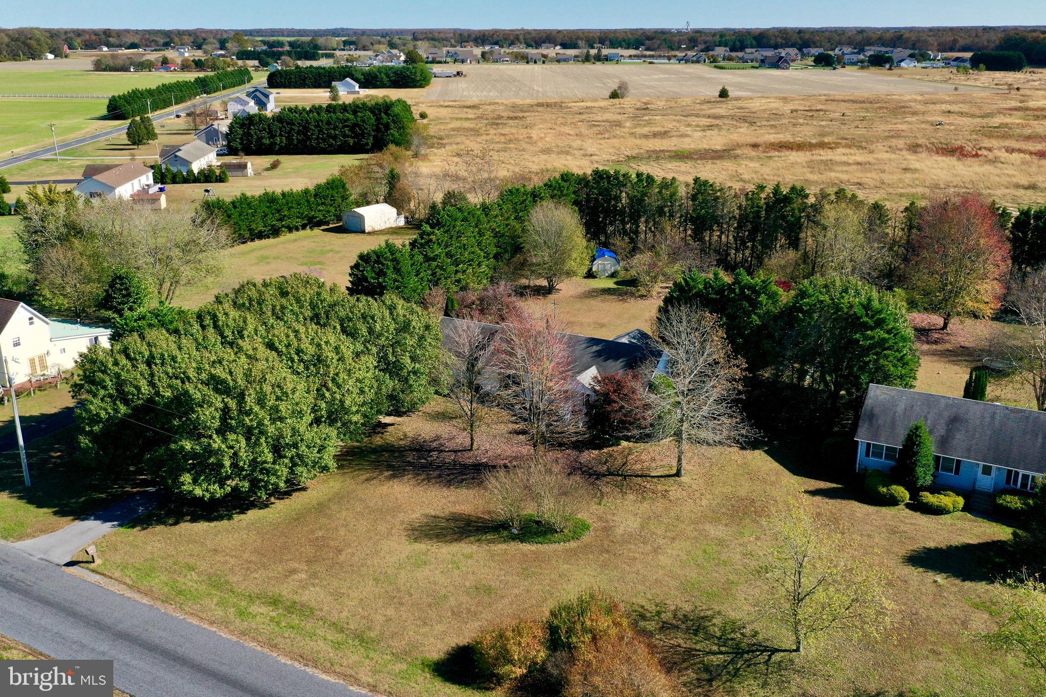 10719 Benson Road Ellendale, DE 19941 - Photo 9 of 28 Gallery Image 9