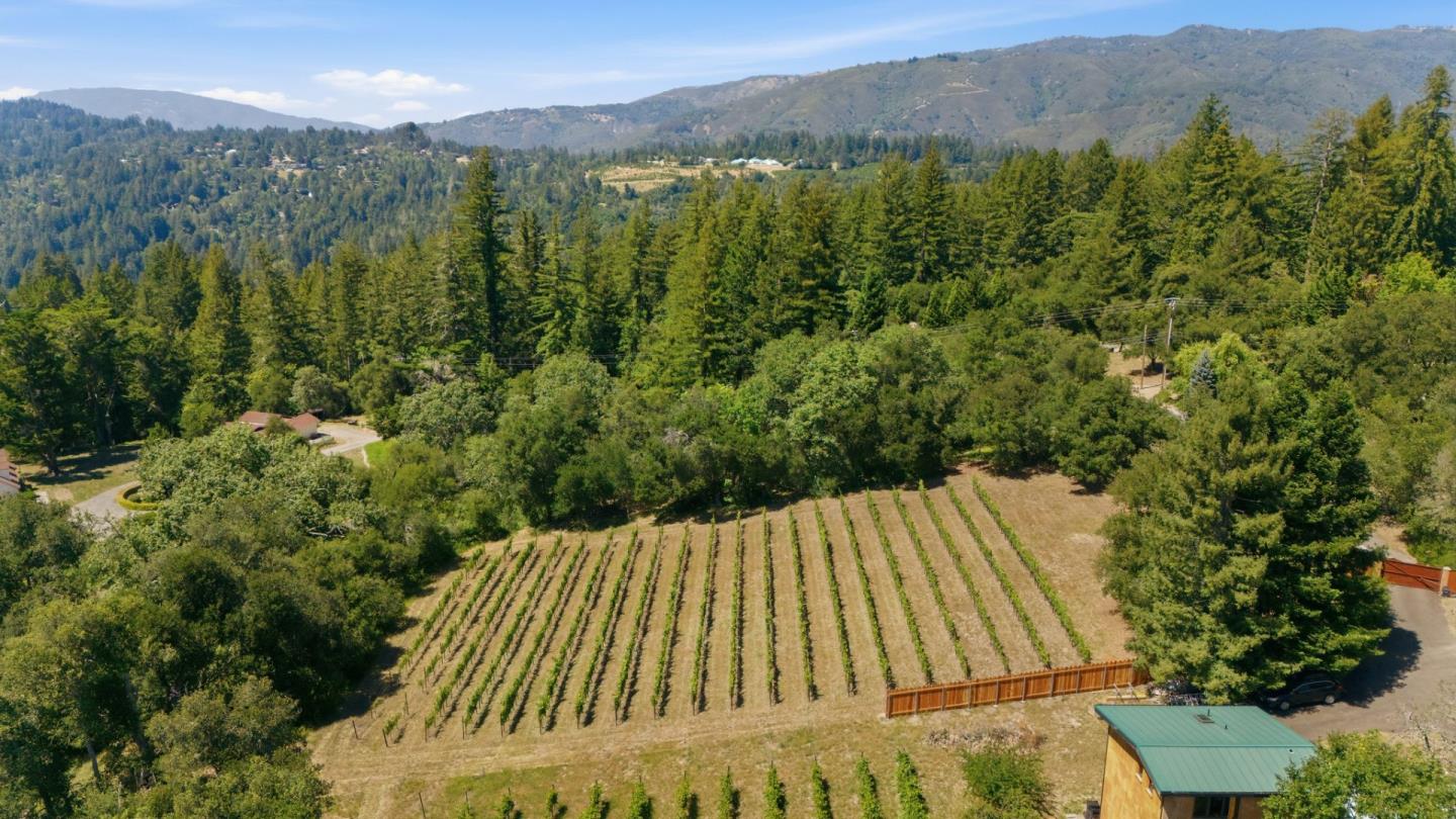 0 Miller Hill Road Los Gatos, CA 95033 - Photo 23 of 32 a view of a forest