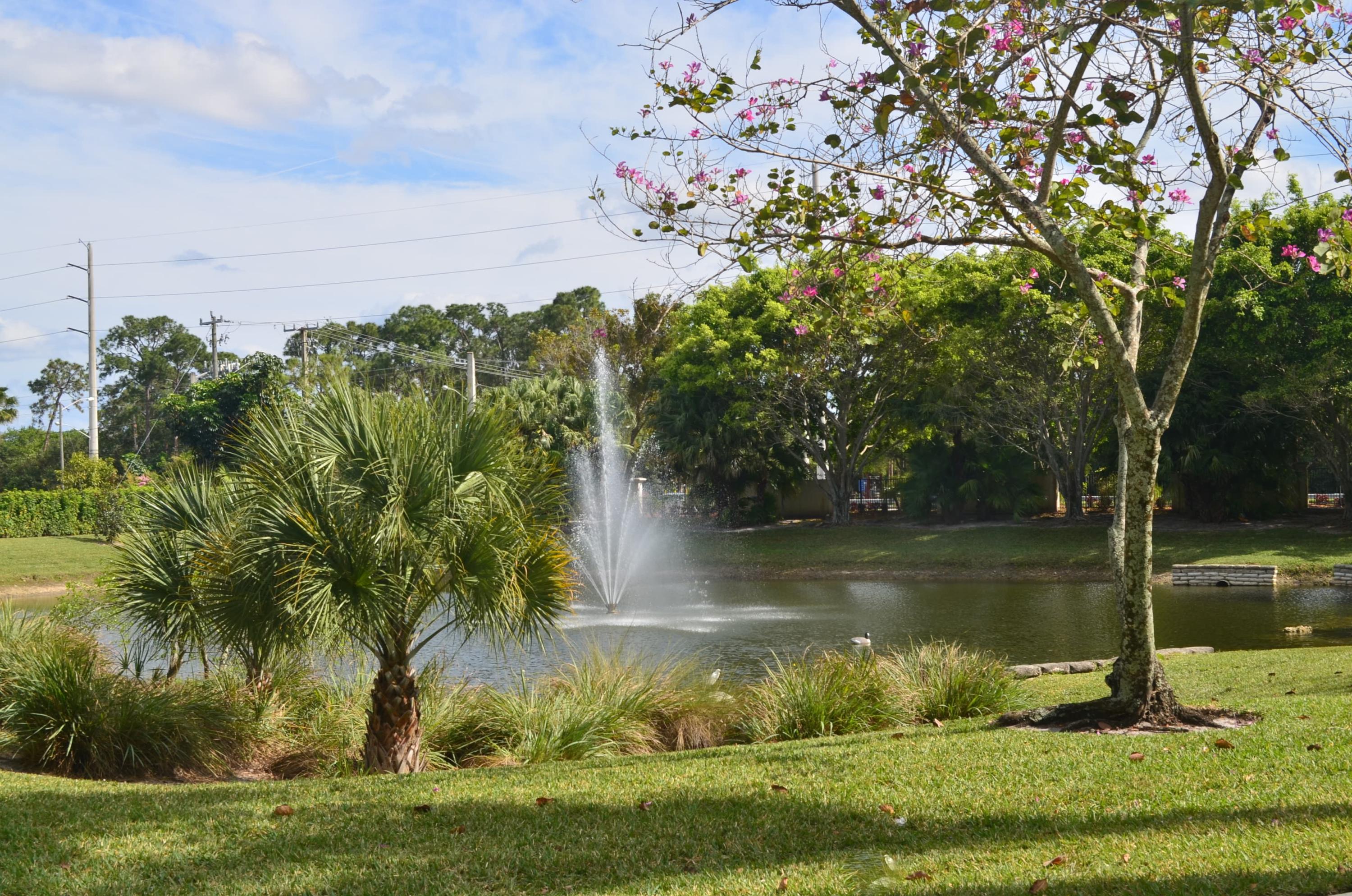 9719 Parkview Avenue Boca Raton, FL 33428 - Photo 35 of 39 Community Lake