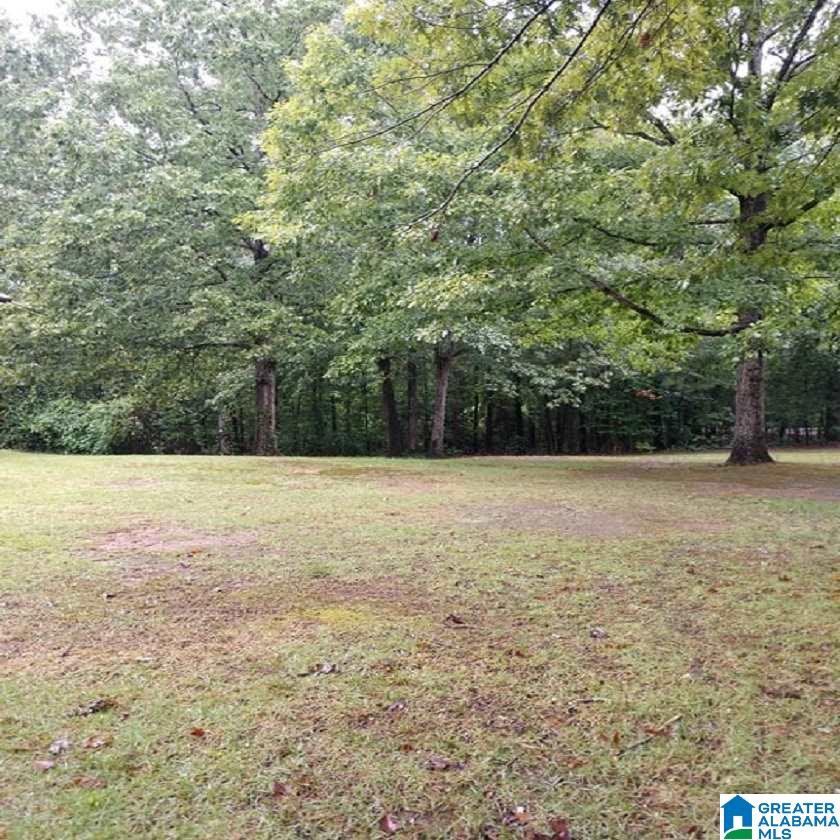 480 Dunns Camp Road Adger, AL 35006 - Photo 5 of 40