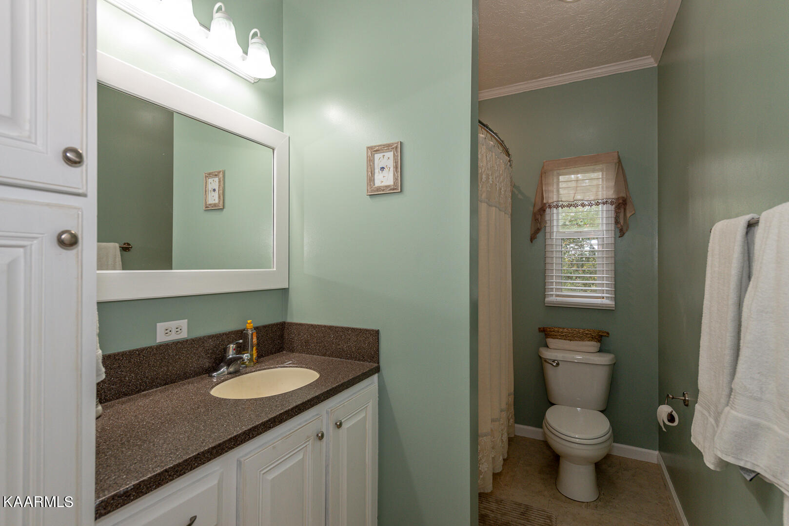 103 Laura Boling Loop Road Strawberry Plains, TN 37871 - Photo 17 of 48 DSC_7789