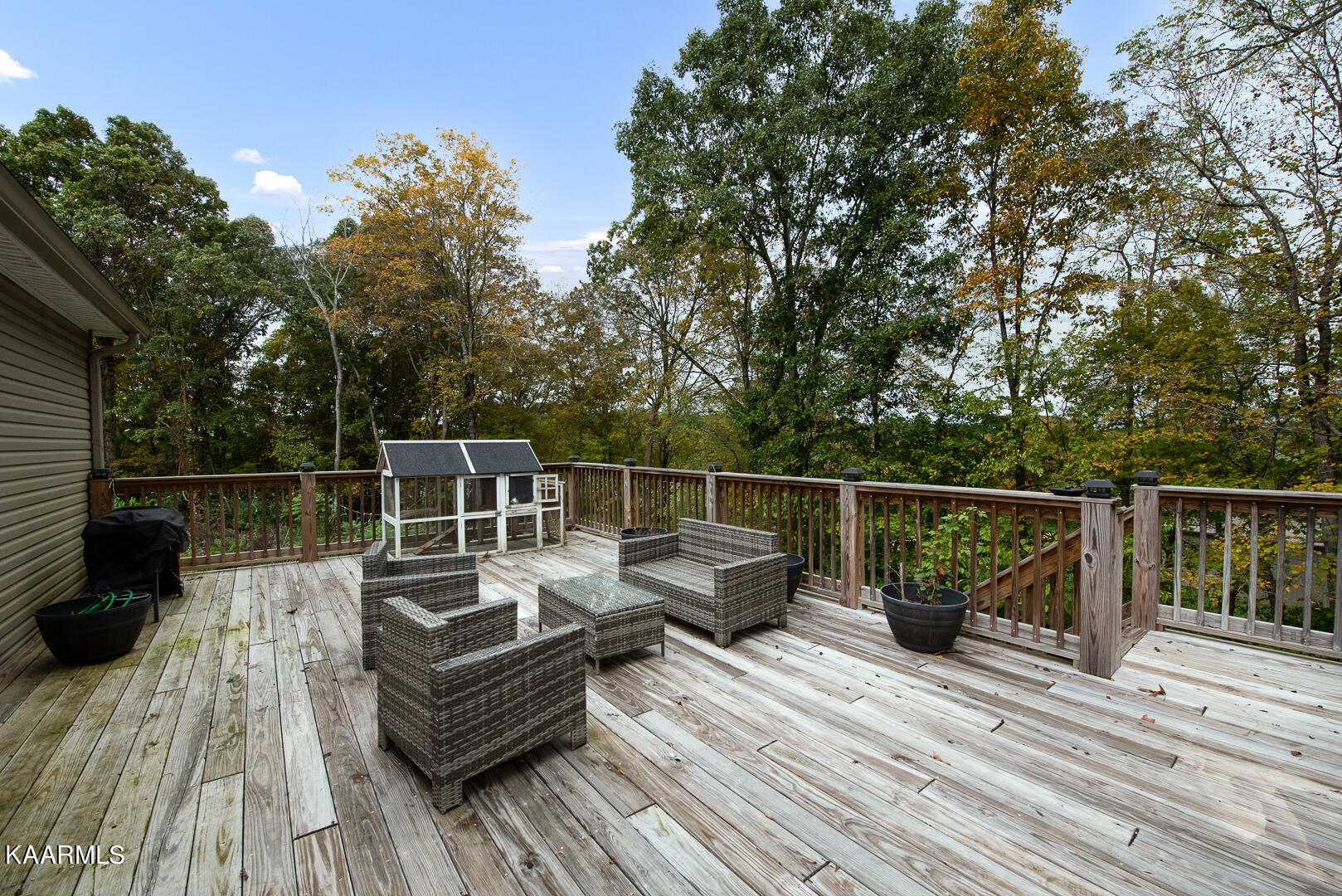 103 Laura Boling Loop Road Strawberry Plains, TN 37871 - Photo 41 of 48 DSC_7812-Edit