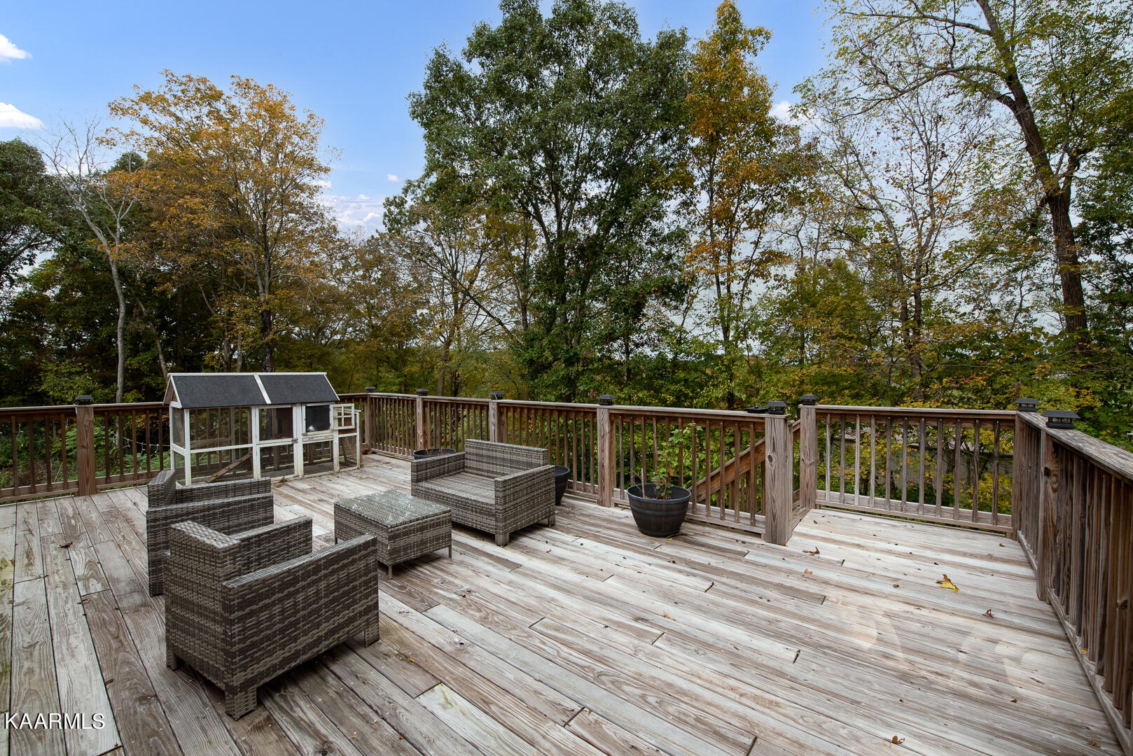 103 Laura Boling Loop Road Strawberry Plains, TN 37871 - Photo 42 of 48 DSC_7813-Edit