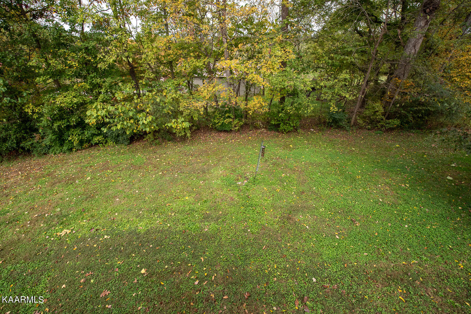 103 Laura Boling Loop Road Strawberry Plains, TN 37871 - Photo 43 of 48 DSC_7814