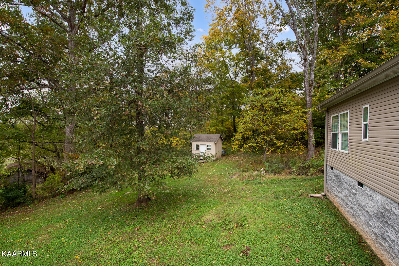 103 Laura Boling Loop Road Strawberry Plains, TN 37871 - Photo 44 of 48 DSC_7825-Edit