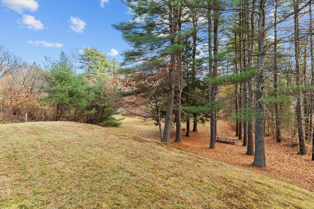 102 Valley Road Barre, MA 01005 - Photo 32 of 40 a view of road and trees