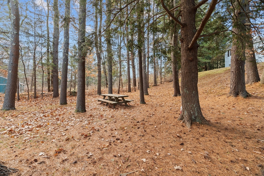 102 Valley Road Barre, MA 01005 - Photo 33 of 40 a view of a backyard with large trees