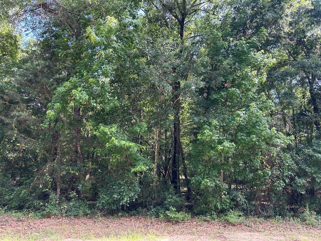 19.16-ac 19.16-ac Ramer Loop Cottonwood, AL 36320 - Photo 25 of 34