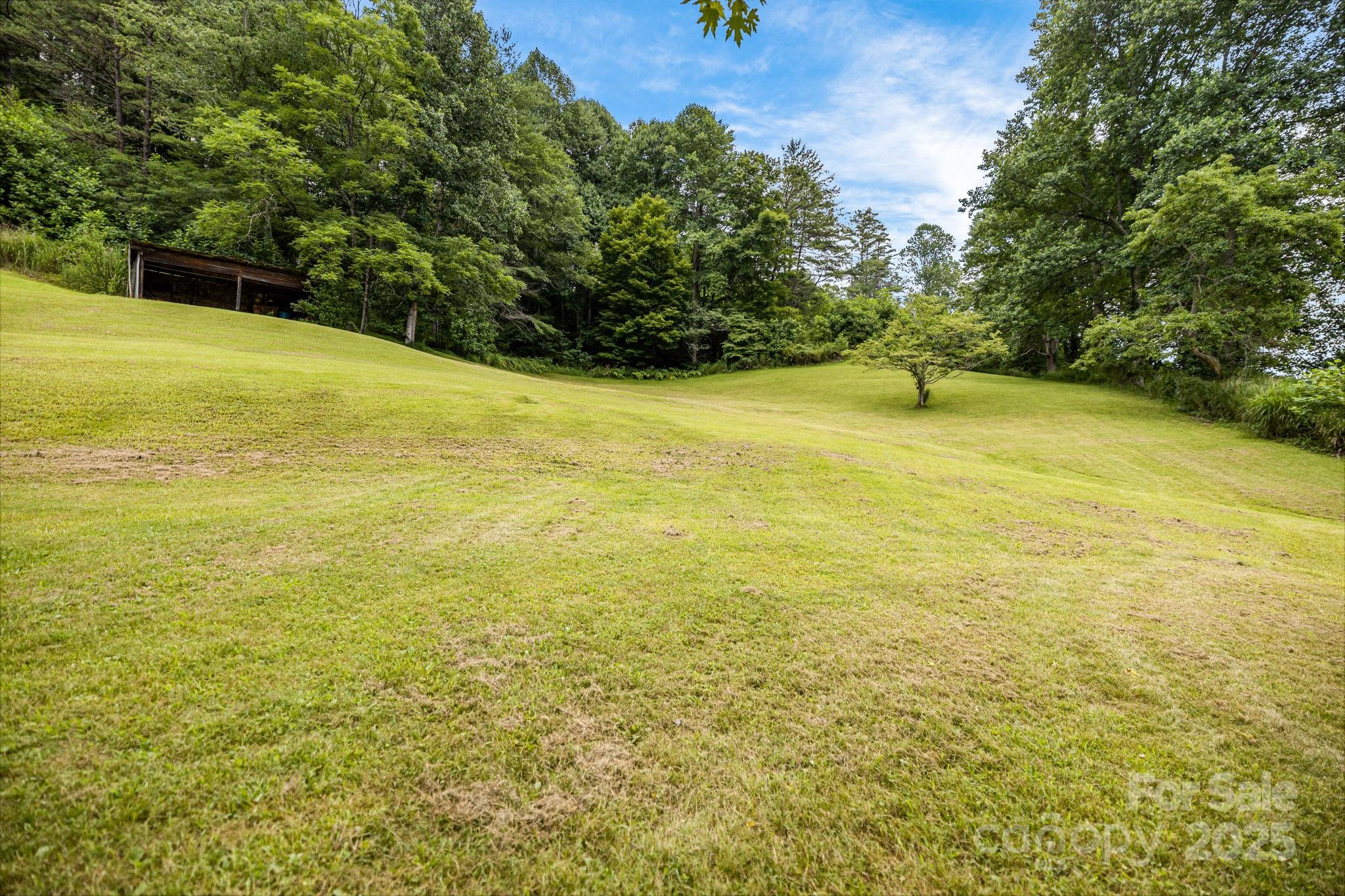 582 Lewis Branch Road Marshall, NC 28753 - Photo 2 of 46 Gallery Image 2