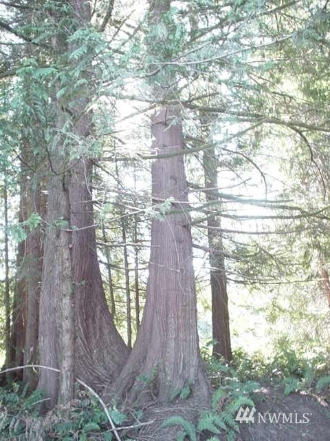 -xx Beauty Lake Road Southwest Port Orchard, WA 98367 - Photo 1 of 4 Gallery Image 1