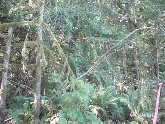 -xx Beauty Lake Road Southwest Port Orchard, WA 98367 - Photo 3 of 4 Gallery Image 3