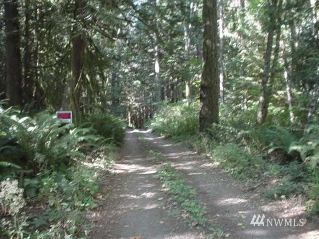 -xx Beauty Lake Road Southwest Port Orchard, WA 98367 - Photo 4 of 4 Gallery Image 4