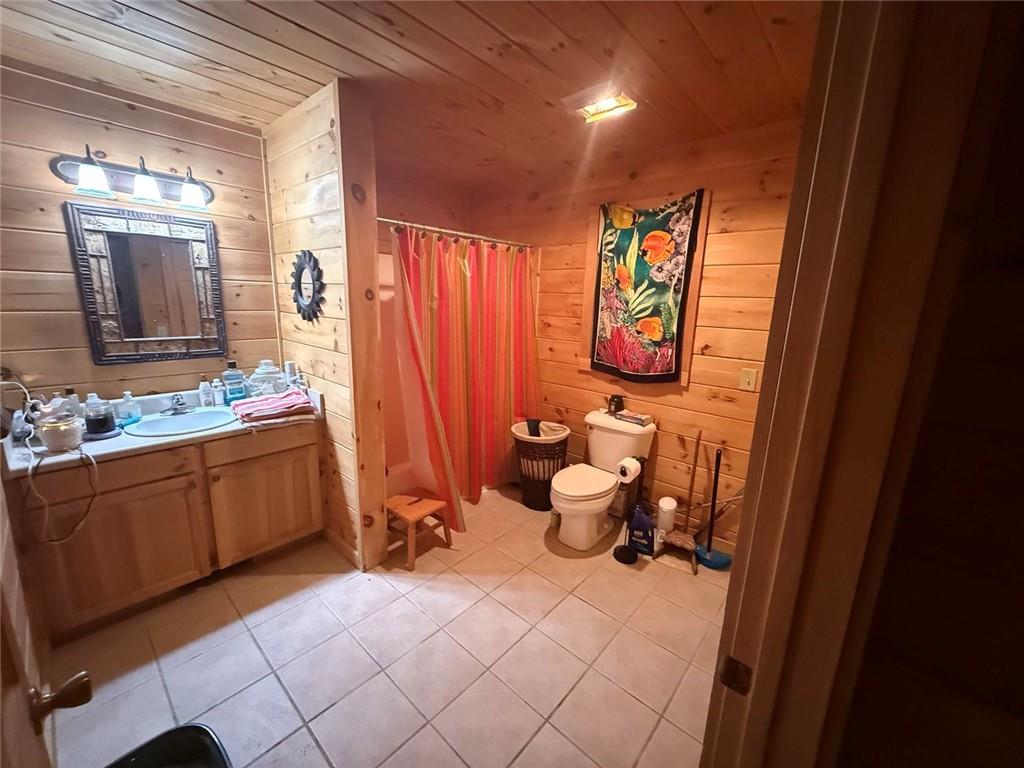175 Antler Way Morganton, GA 30560 - Photo 3 of 8 a bathroom with a sink a toilet and mirror
