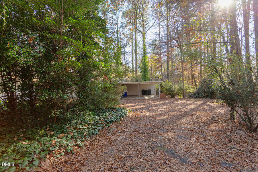 806 Kings Mill Road Chapel Hill, NC 27517 - Photo 40 of 45 a view of a backyard with potted plants and large trees