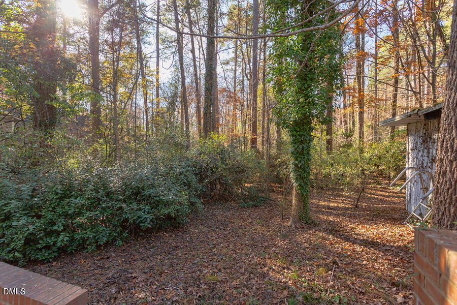 806 Kings Mill Road Chapel Hill, NC 27517 - Photo 43 of 45 a view of a forest with trees