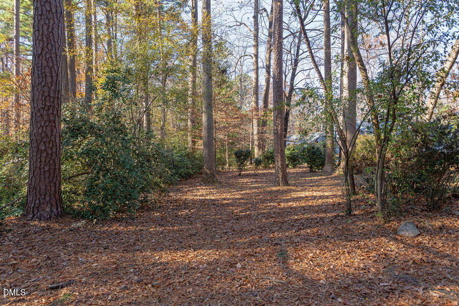 806 Kings Mill Road Chapel Hill, NC 27517 - Photo 45 of 45 a view of outdoor space with trees