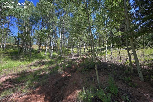 412 Princess Road Cripple Creek, CO 80813 - Photo 35 of 45 Gallery Image 35