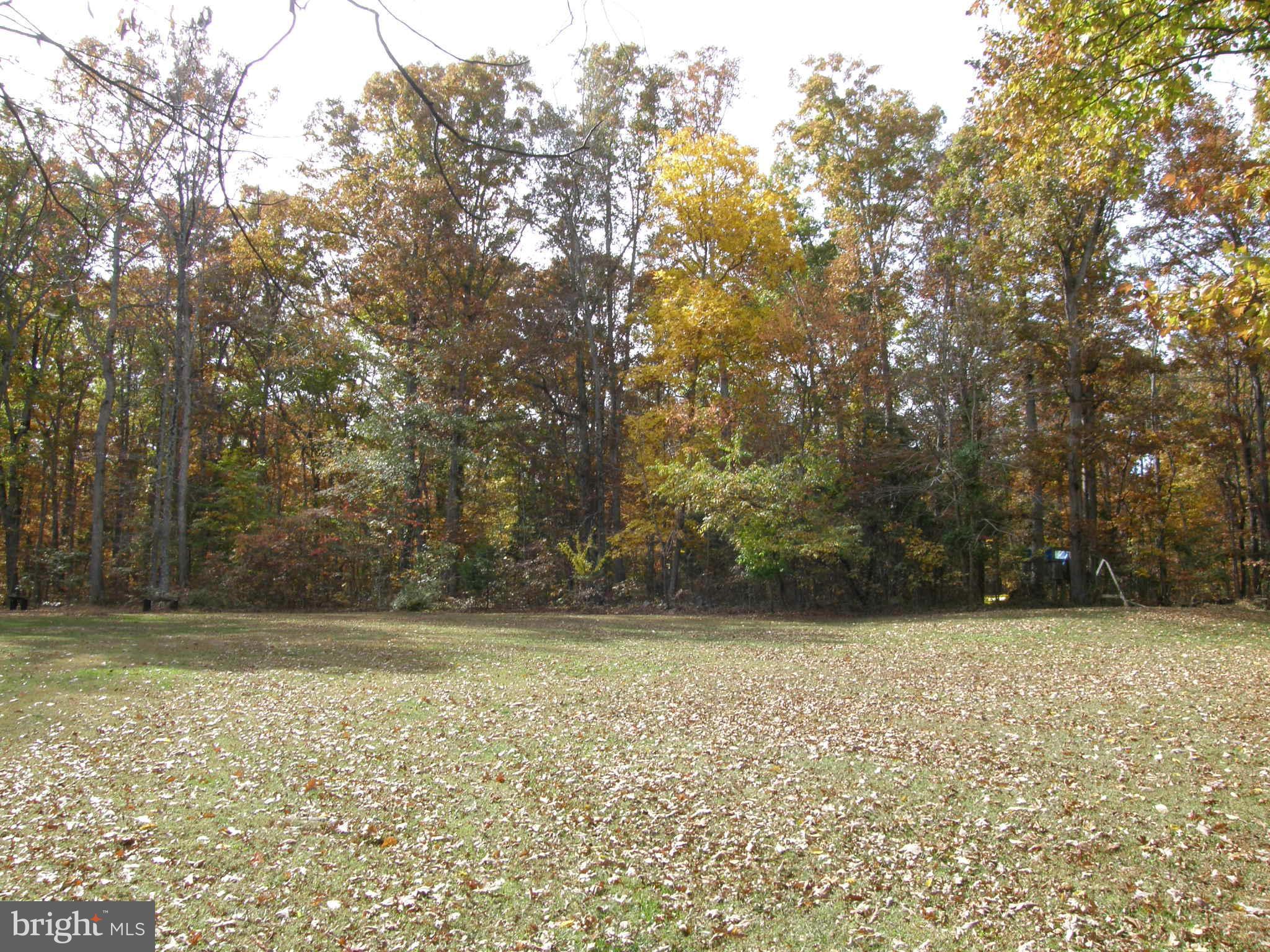 15394 Ryland Chapel Road Rixeyville, VA 22737 - Photo 22 of 30 Exterior (General)