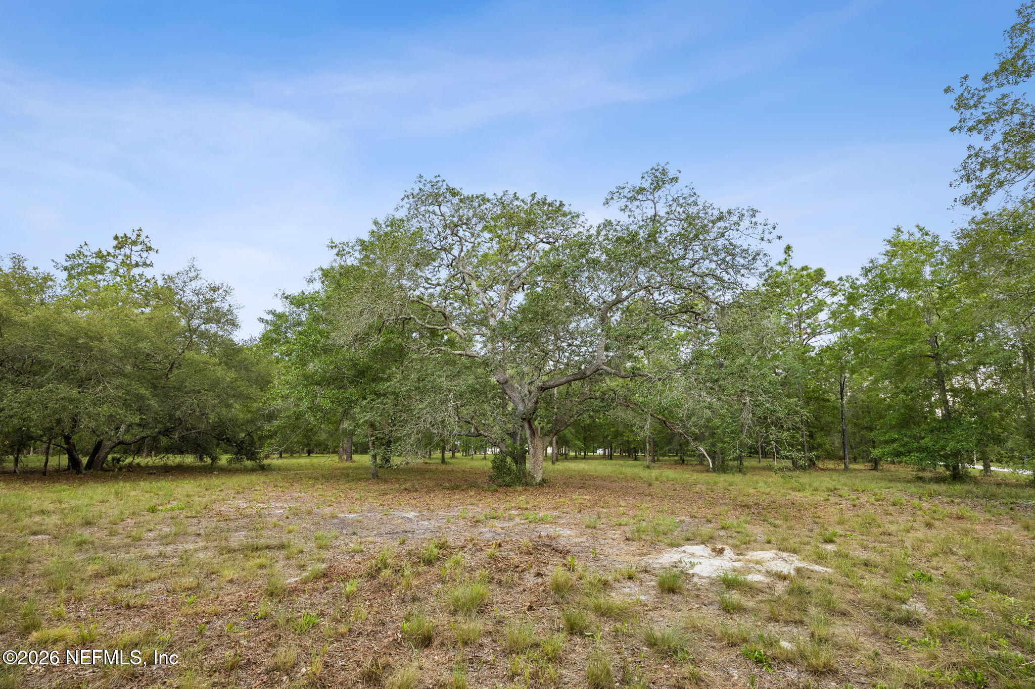 6015 Plantation Court Keystone Heights, FL 32656 - Photo 11 of 16 14-web-or-mls-6015 Plantation Ct-14
