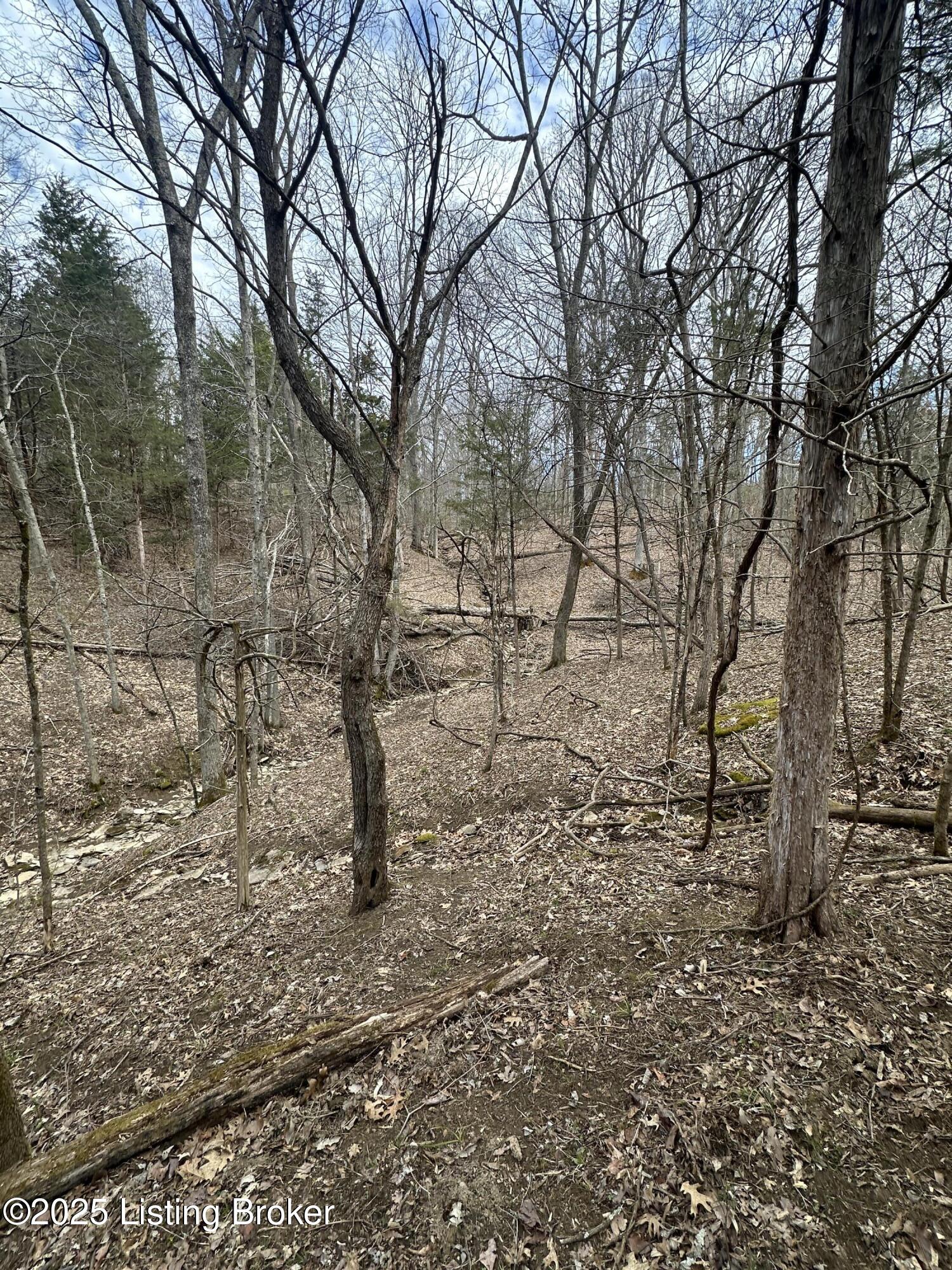 0 Lebanon Ridge Road Frankfort, KY 40601 - Photo 6 of 12 IMG_4378