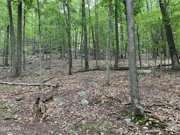 $12,500 | Lot 846 Alta Lane, Tafton, PA 18464