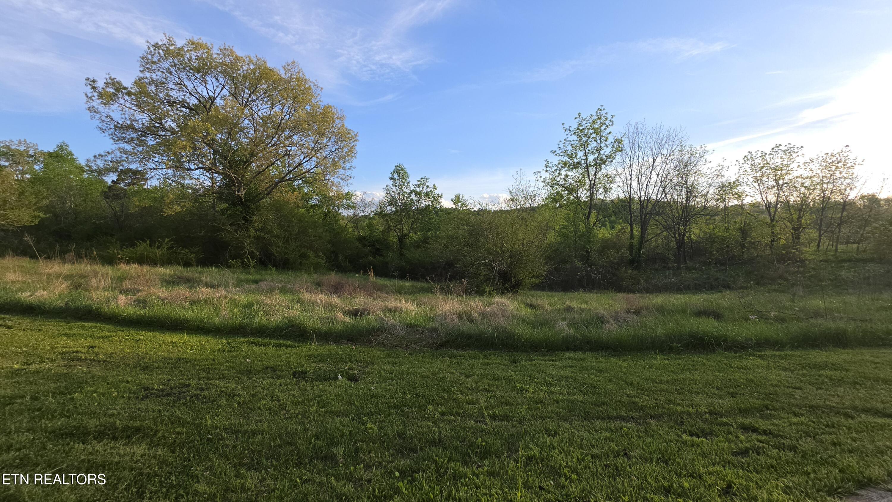 671 Williams Creek Road Oneida, TN 37841 - Photo 4 of 52 20260417_191824