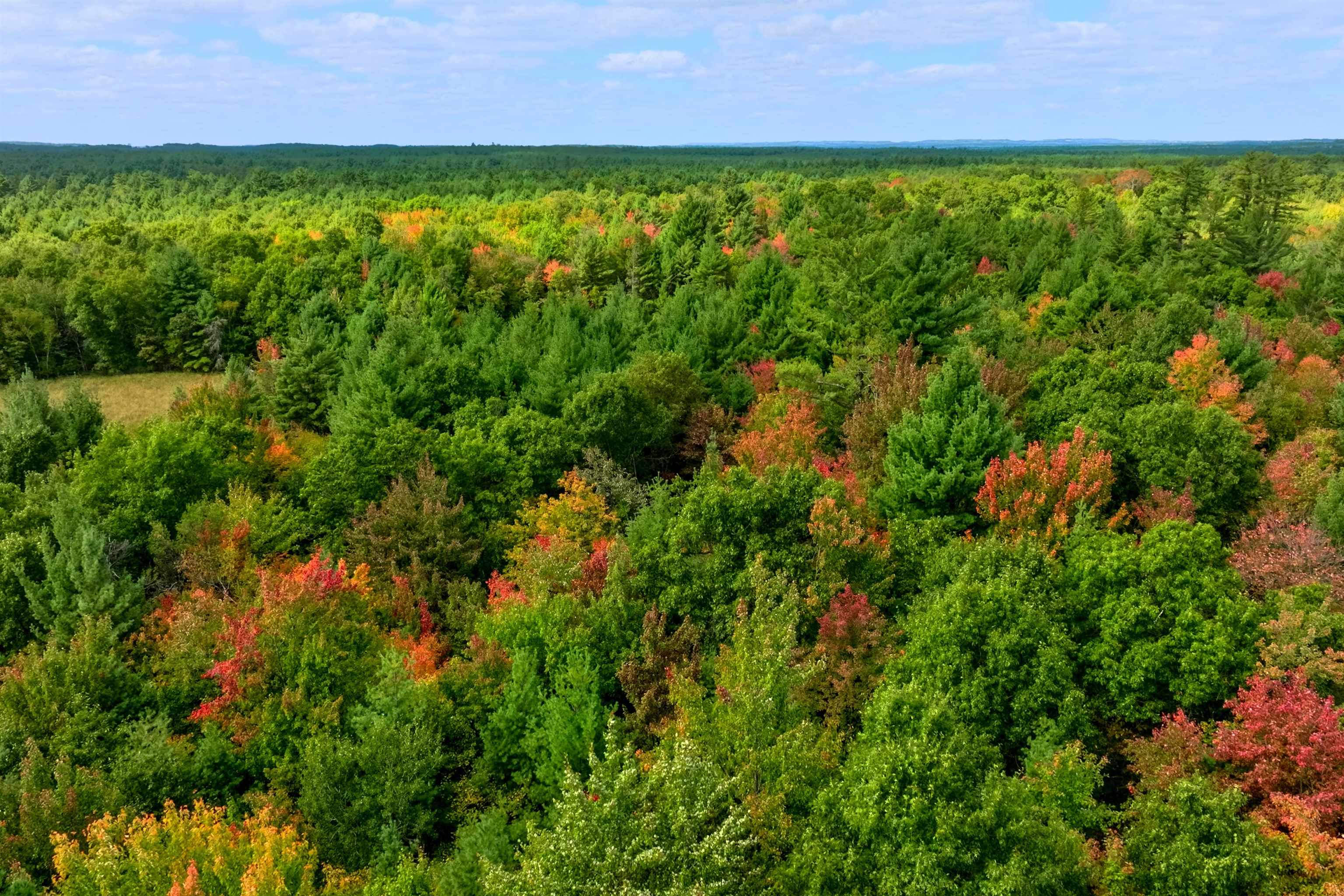 160-ac Goat Ranch Road Chippewa Falls, WI 54729 - Photo 8 of 31 Gallery Image 8