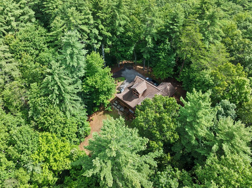 100 Cohutta View Road Epworth, GA 30541 - Photo 42 of 46 Gallery Image 42
