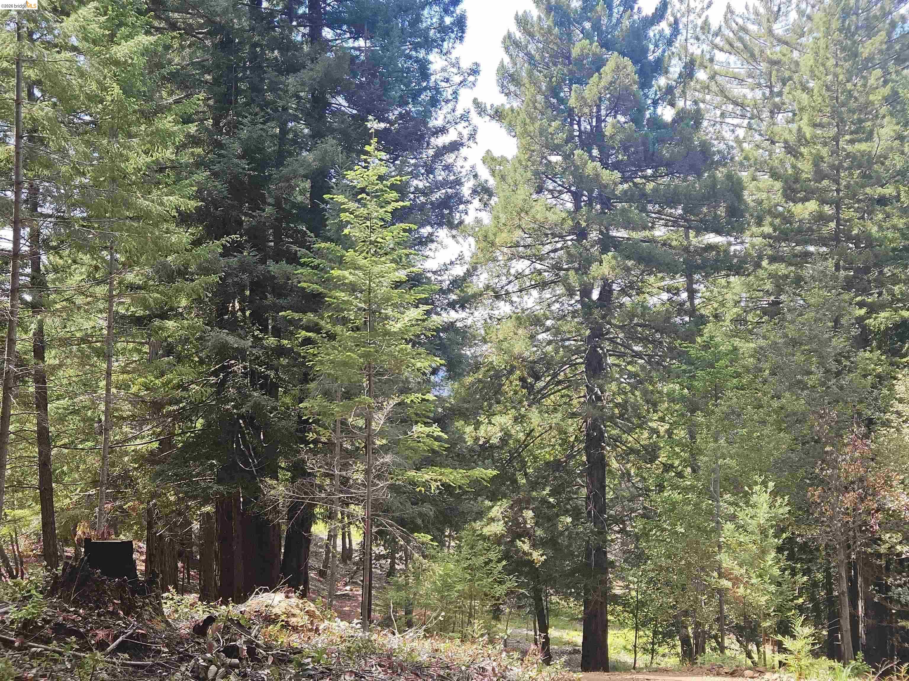 49100 Wickersham Road Geyserville, CA 95441 - Photo 46 of 76
