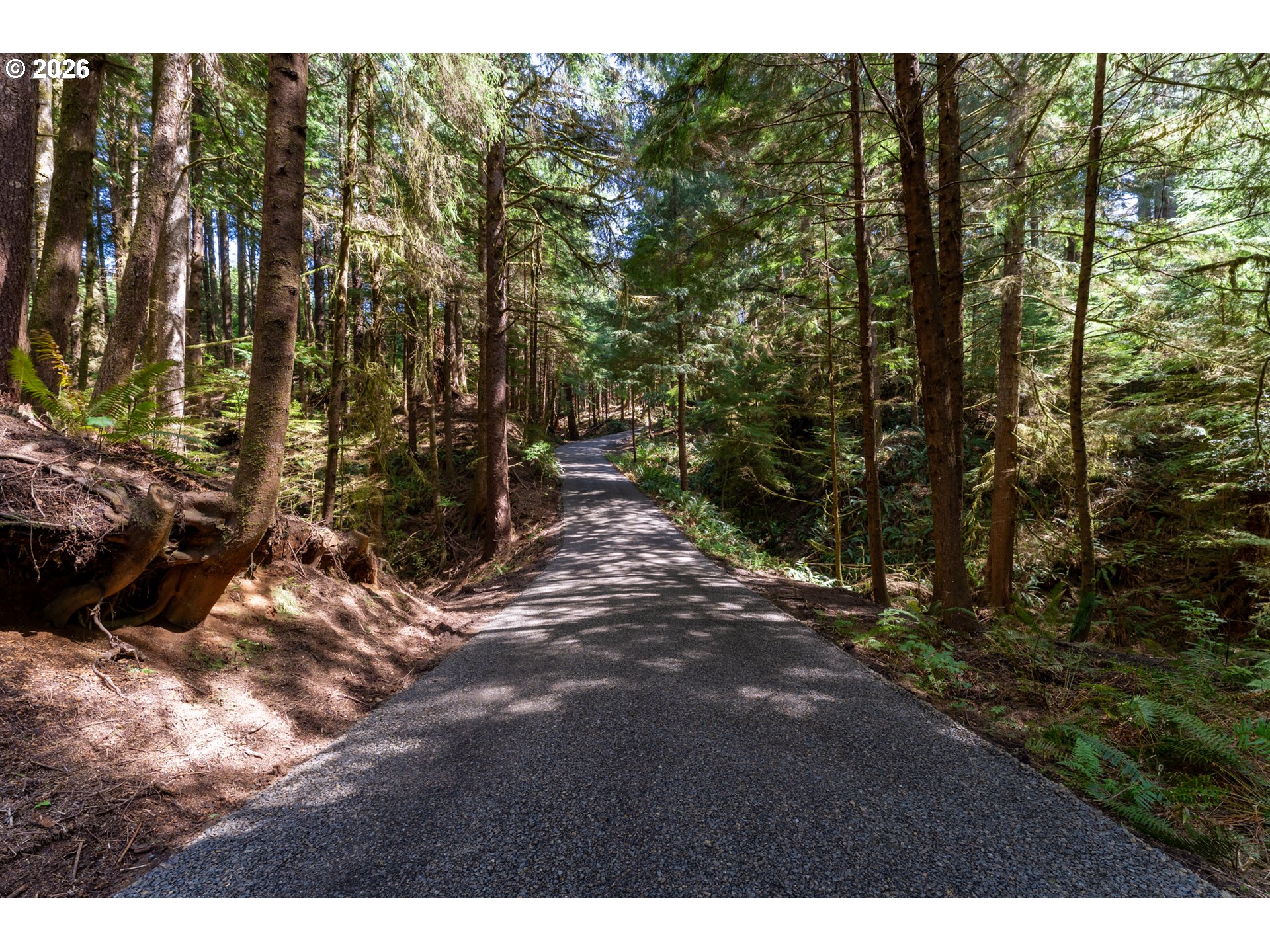 545 Bartel Road Cannon Beach, OR 97110 - Photo 3 of 48