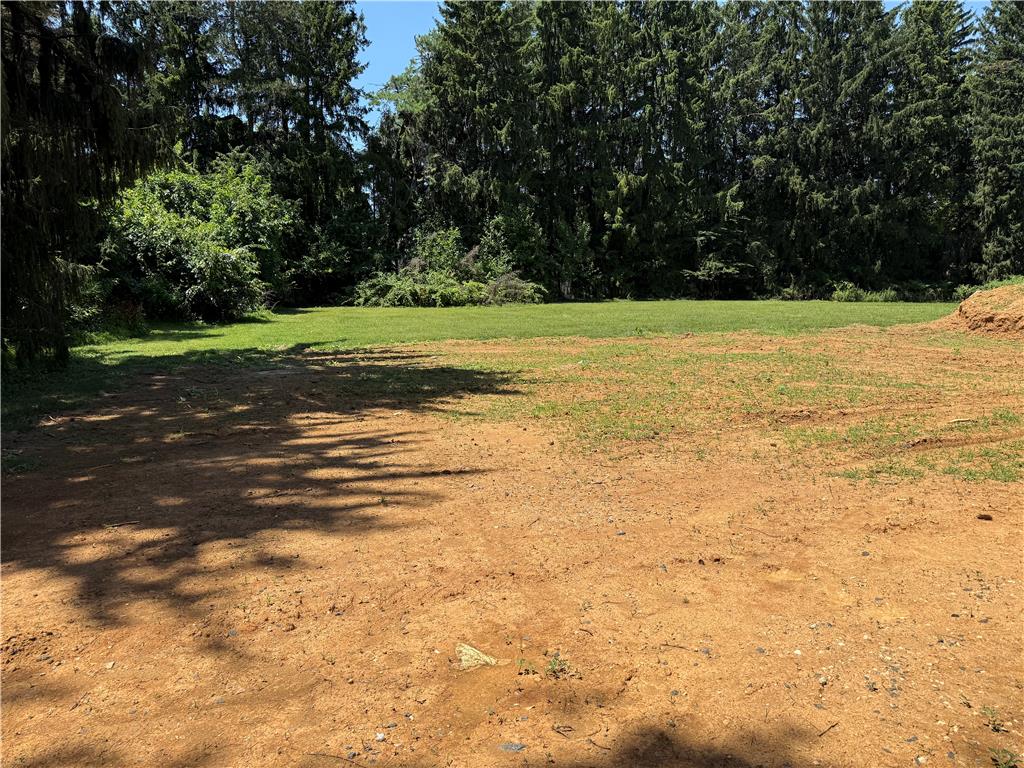 A spacious, buildable lot awaits your vision, bordered by a dense line of mature trees.