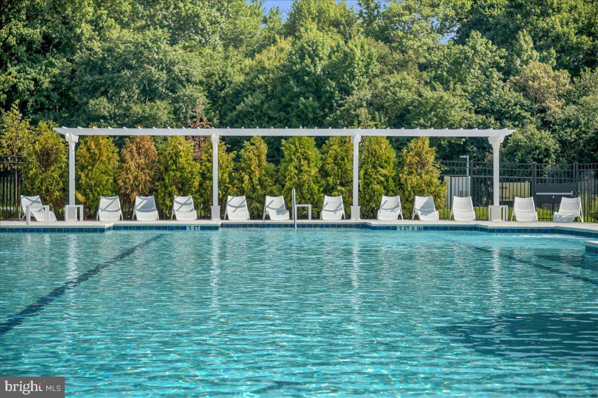 1015 Champlain Court Trappe, MD 21673 - Photo 26 of 38 a view of swimming pool with lawn chairs and plants