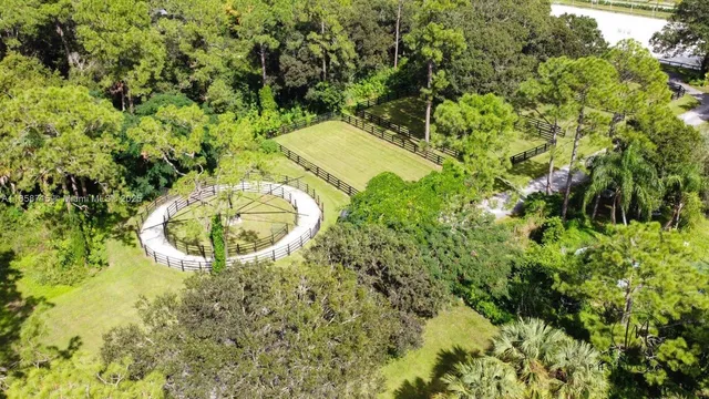 a view of a garden with a fountain