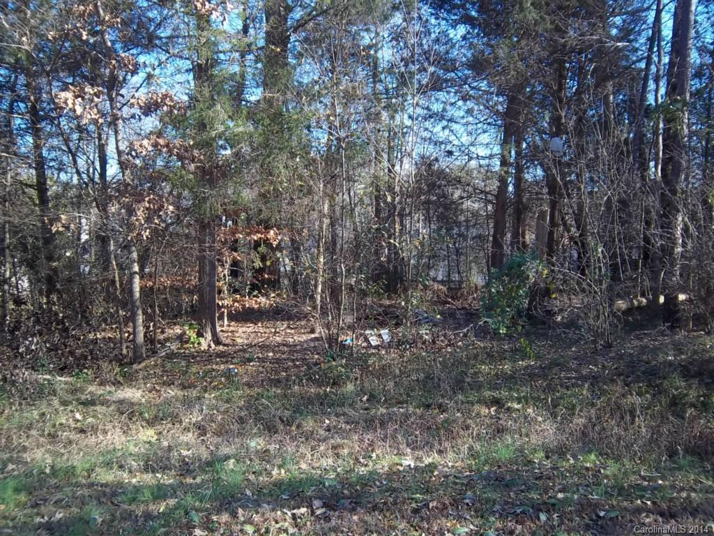 814 Mt Holly-Huntersville Road Charlotte, NC 28214 - Photo 13 of 13 a view of a forest