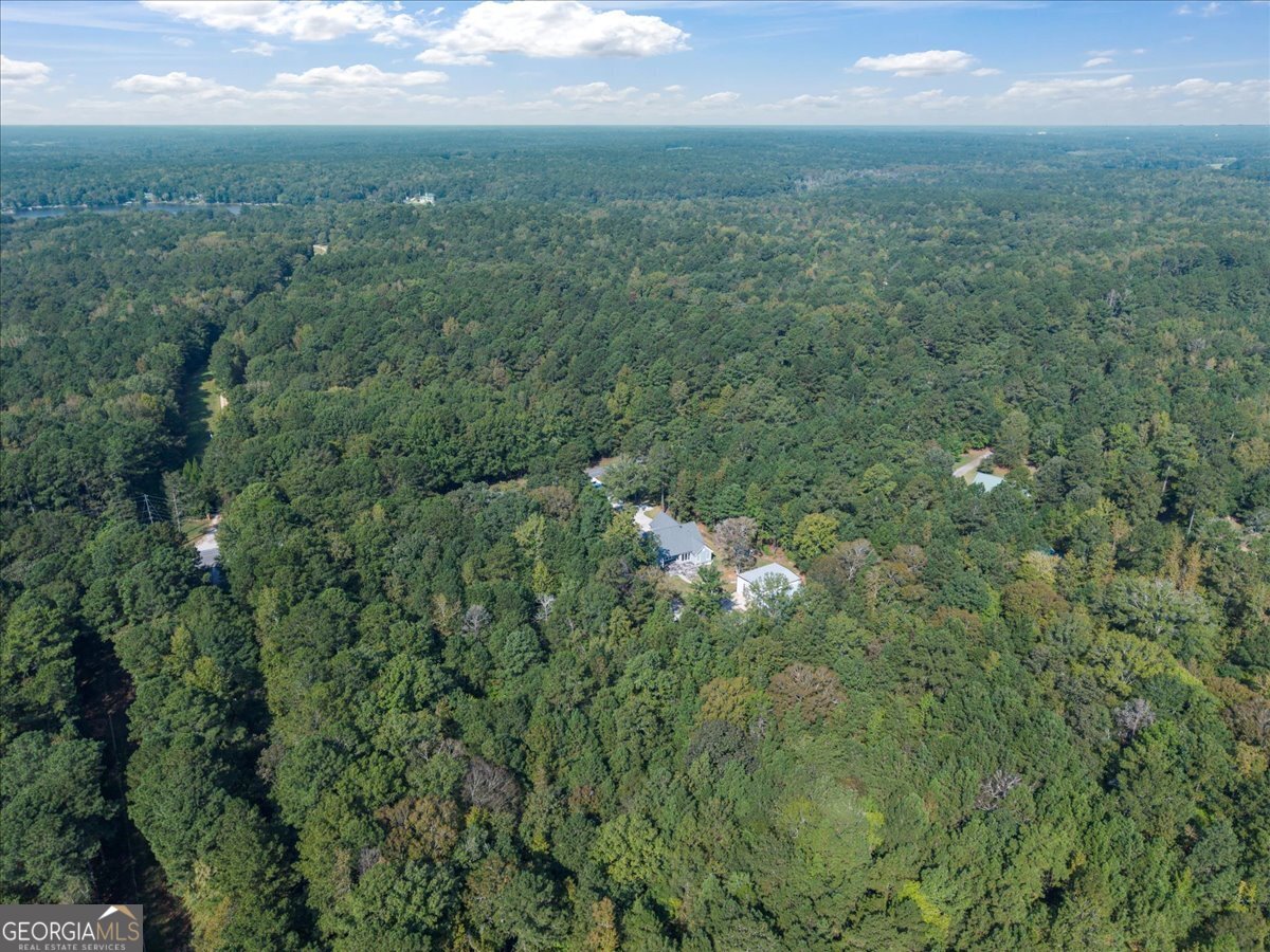 1750 Reids Ferry Road Buckhead, GA 30625 - Photo 51 of 57 a view of a city