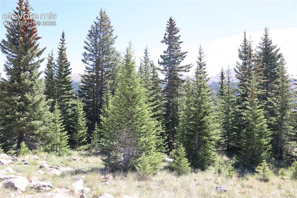 1480 Roberts Road Alma, CO 80420 - Photo 3 of 26